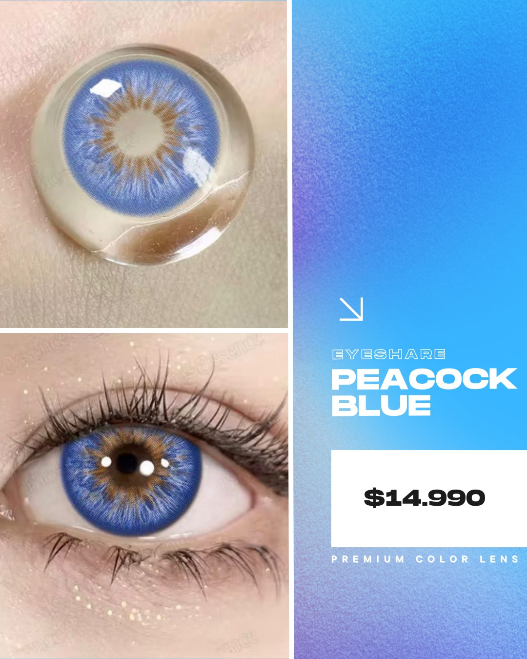 Eyeshare - Peacock Blue
